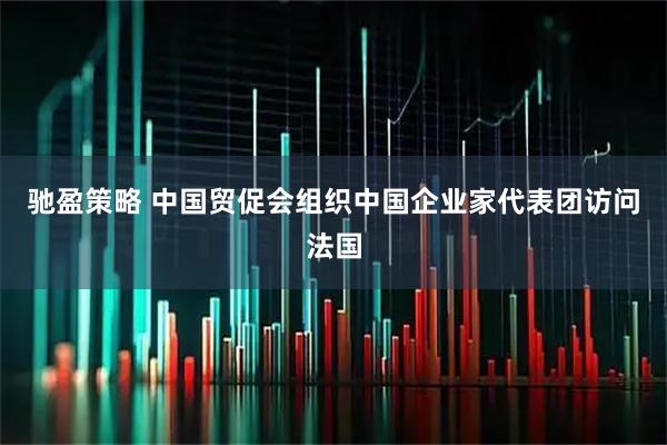 驰盈策略 中国贸促会组织中国企业家代表团访问法国